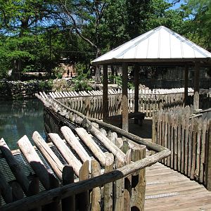 Wetlands - Boardwalk