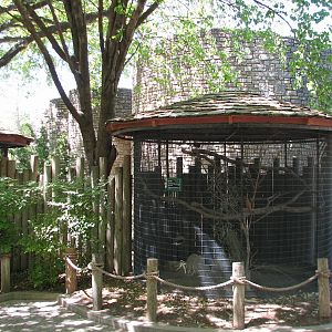 Bird Cages