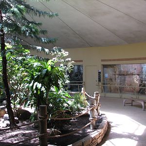 Bird House - Interior