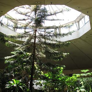 Bird House - Interior