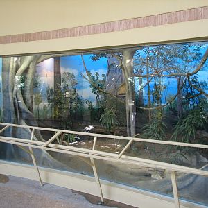 Bird House - Guam Rail Exhibit