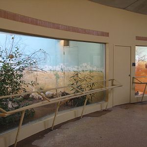 Bird House - African Exhibits