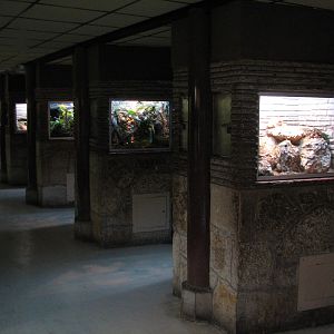 Reptile House - Interior