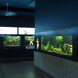 Aquarium - Interior