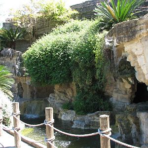 Tiny Tot Nature Spot - Tropical Waters - Exterior