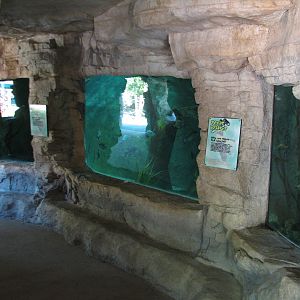 Tiny Tot Nature Spot - Tropical Waters - Texas Aquarium