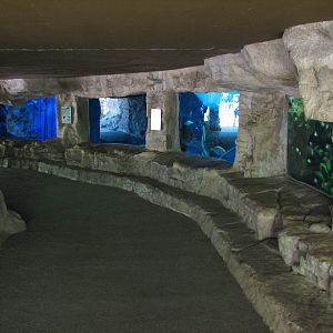 Tiny Tot Nature Spot - Tropical Waters - Aquariums