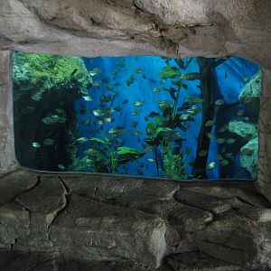 Tiny Tot Nature Spot - Tropical Waters - Aquarium