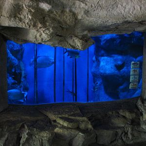 Tiny Tot Nature Spot - Tropical Waters - Aquarium