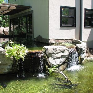 Tiny Tot Nature Spot - Discovery House - Turtle Pond