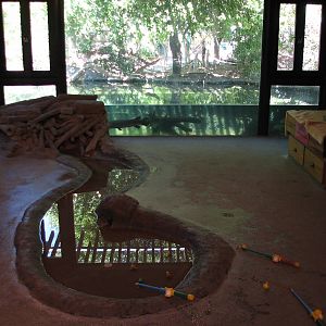 Tiny Tot Nature Spot - Discovery House - Turtle Pond and Fishing Play Area