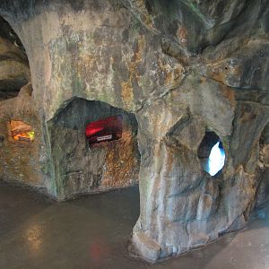 Tiny Tot Nature Spot - Discovery House - Underground Terrariums