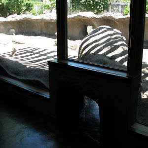 Tiny Tot Nature Spot - Discovery House - Prairie Dog Exhibit