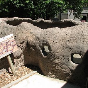 Tiny Tot Nature Spot - Discovery House - Prairie Dog Exhibit