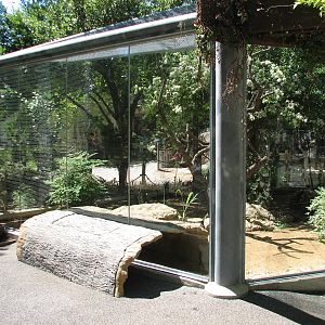 Tiny Tot Nature Spot - Tropics - Coati Exhibit