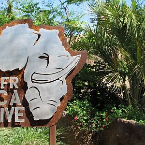 Africa Live - Sign