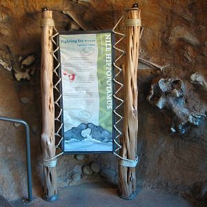 Africa Live - Nile Hippopotamus Exhibit Sign