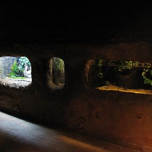 Africa Live - Small Wall Exhibits