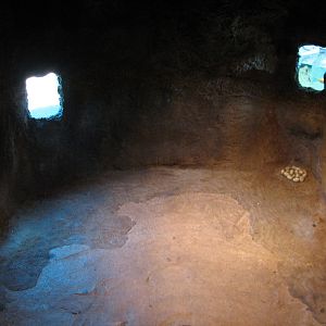 Africa Live - Nile Crocodile Viewing Cave