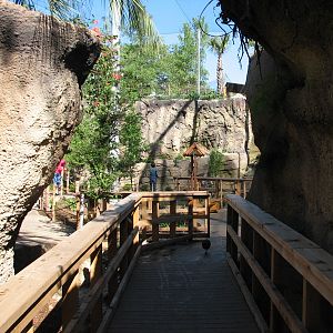 Africa Live - Aviary