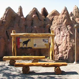 Africa Live - Termite Mound