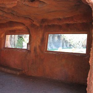Africa Live - Termite Mound Interior Viewing Area for African Wild Dog Exhi