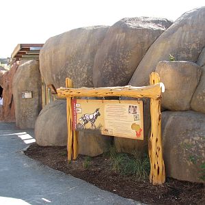 Africa Live - African Wild Dog Exhibit Sign
