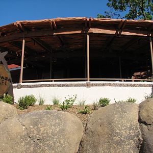 Africa Live - Baraza Cafe