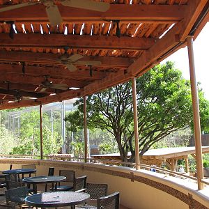 Africa Live - Baraza Cafe