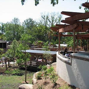 Africa Live - Baraza Cafe