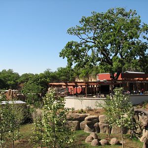 Africa Live - Okapi Exhibit and Baraza cafe