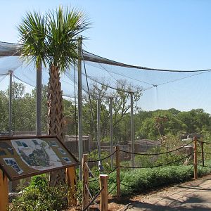 Africa Live - Aviary Top Viewing Area