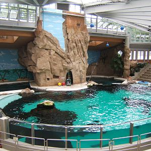 Dolphinarium view