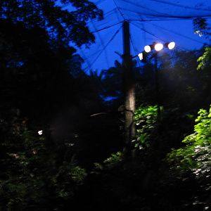 Leopard Trail - Giant Flying Squirrel walk-thru