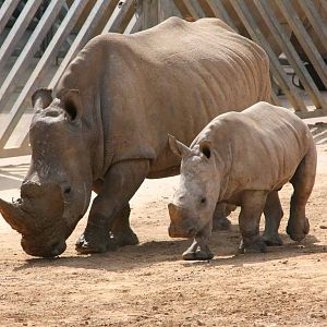 Photo taken 22 April 2010