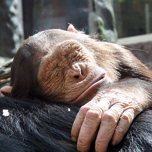 Photo taken 22 April 2010