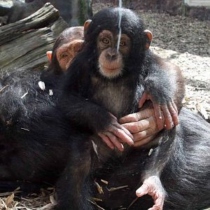 Photo taken 22 April 2010