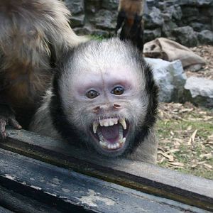 Photo taken 22 April 2010