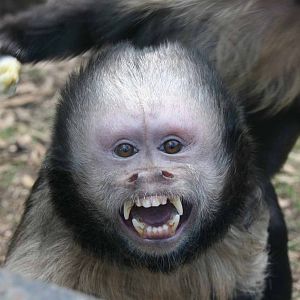 Photo taken 22 April 2010