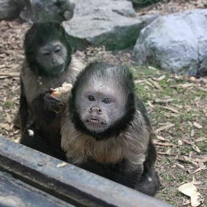 Photo taken 22 April 2010