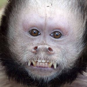 Photo taken 22 April 2010