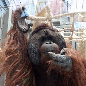 Photo taken 22 April 2010