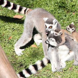 Photo taken 22 April 2010