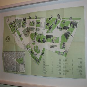 tel aviv zoo (closed) exhibition