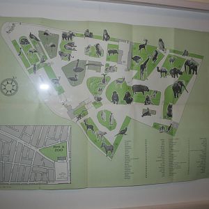 tel aviv zoo (closed) exhibition