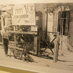 tel aviv zoo (closed) exhibition