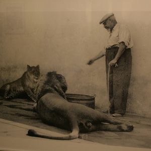 tel aviv zoo (closed) exhibition