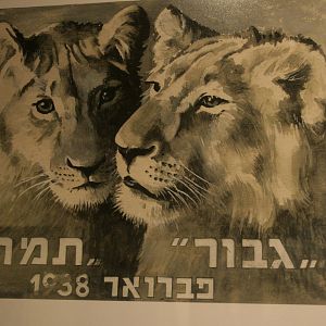 tel aviv zoo (closed) exhibition