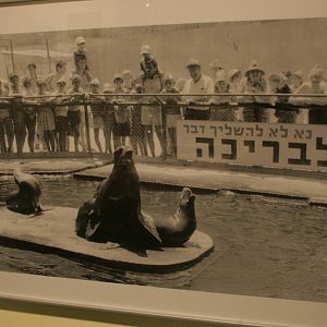 tel aviv zoo (closed) exhibition