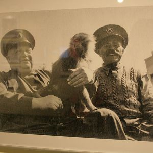 tel aviv zoo (closed) exhibition